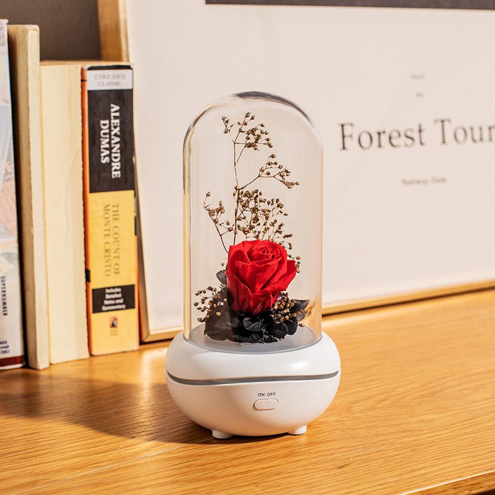 Eternal Flower USB Essential Oil Aromatherapy  lamp